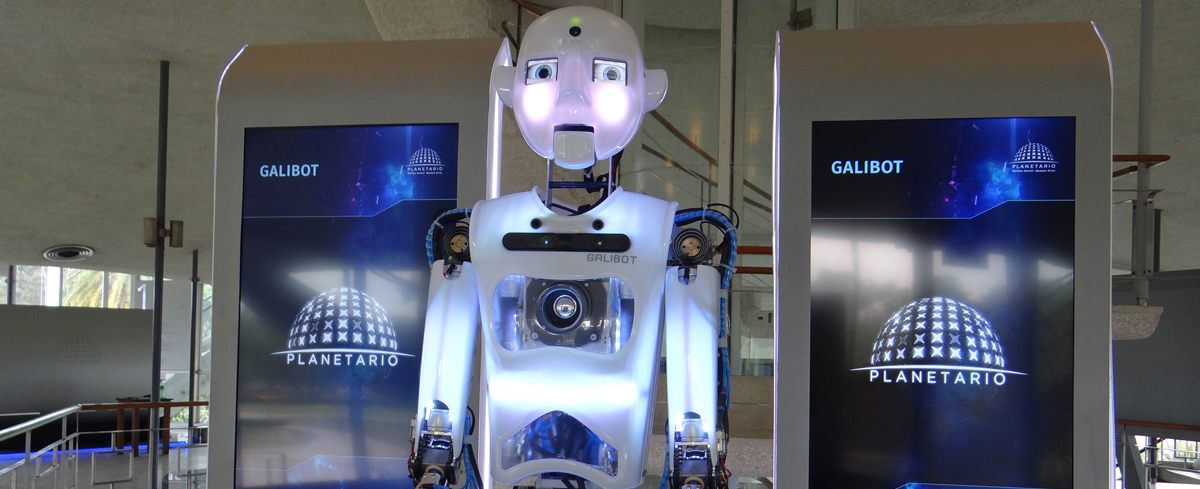 Buenos Aires with Children: Family-Friendly Adventures